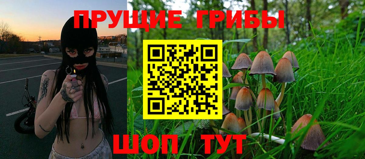 где продают   Галлюциногенные грибы Psilocybine cubensis  Вход с VPN  Похвистнево 