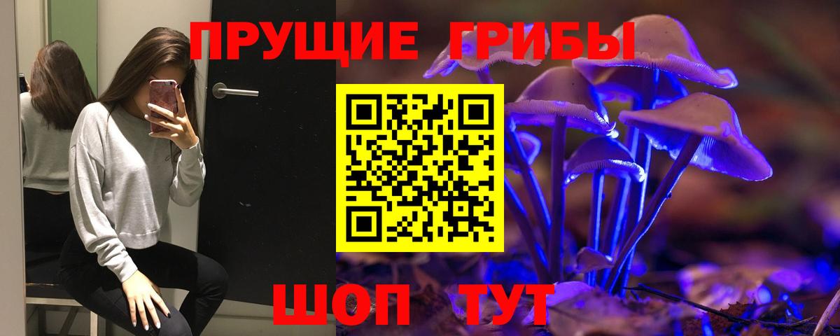 Псилоцибиновые грибы мицелий Похвистнево